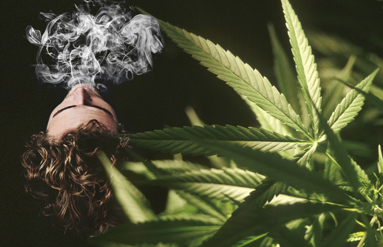 Cannabis Weed and Smoke