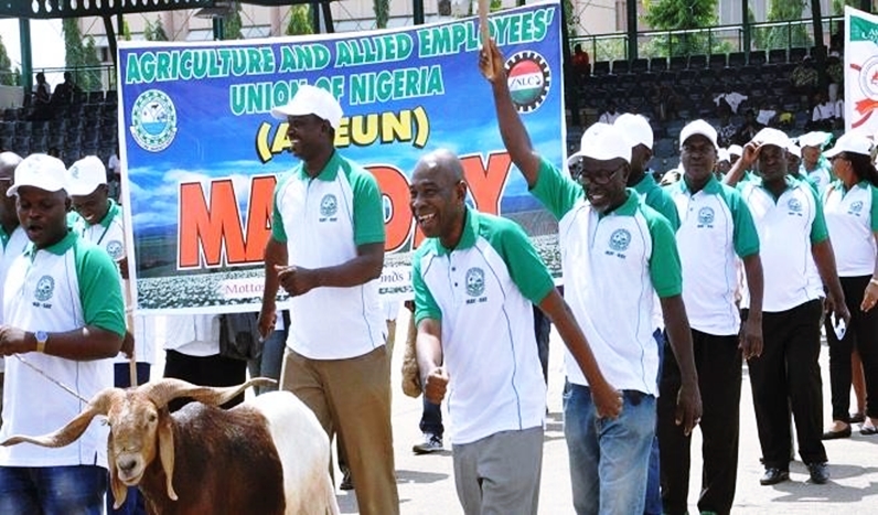 Agriculture and Allied Employees Union of Nigeria