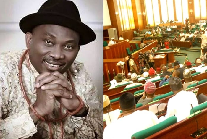 Ndudi Elumelu and House of Representatives