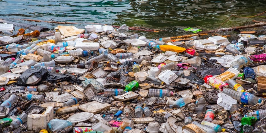 Plastics Pollution