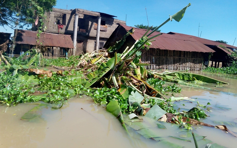 Food Crops Destroyed by Flood in Nigeria
