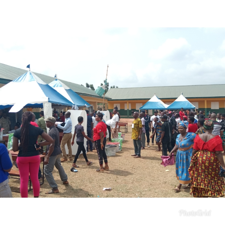 Voting Section in Akwukwu-Igbo