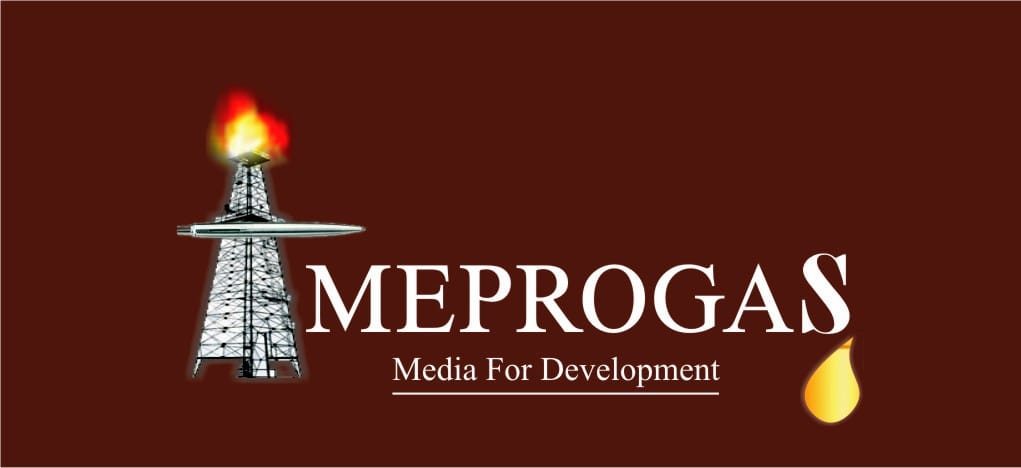 AMEPROGAS