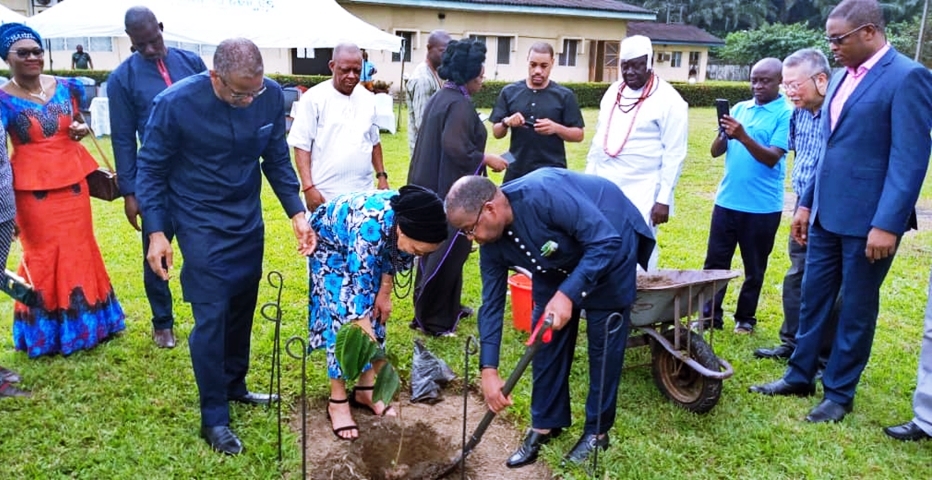 Planting of an Iroko Tree in Memory of Late, Senator David Dafinone