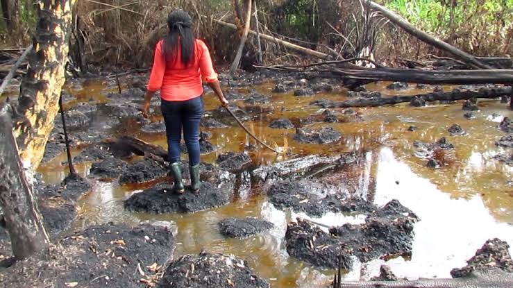 Oil Spilled Water in Delta Riverine Community