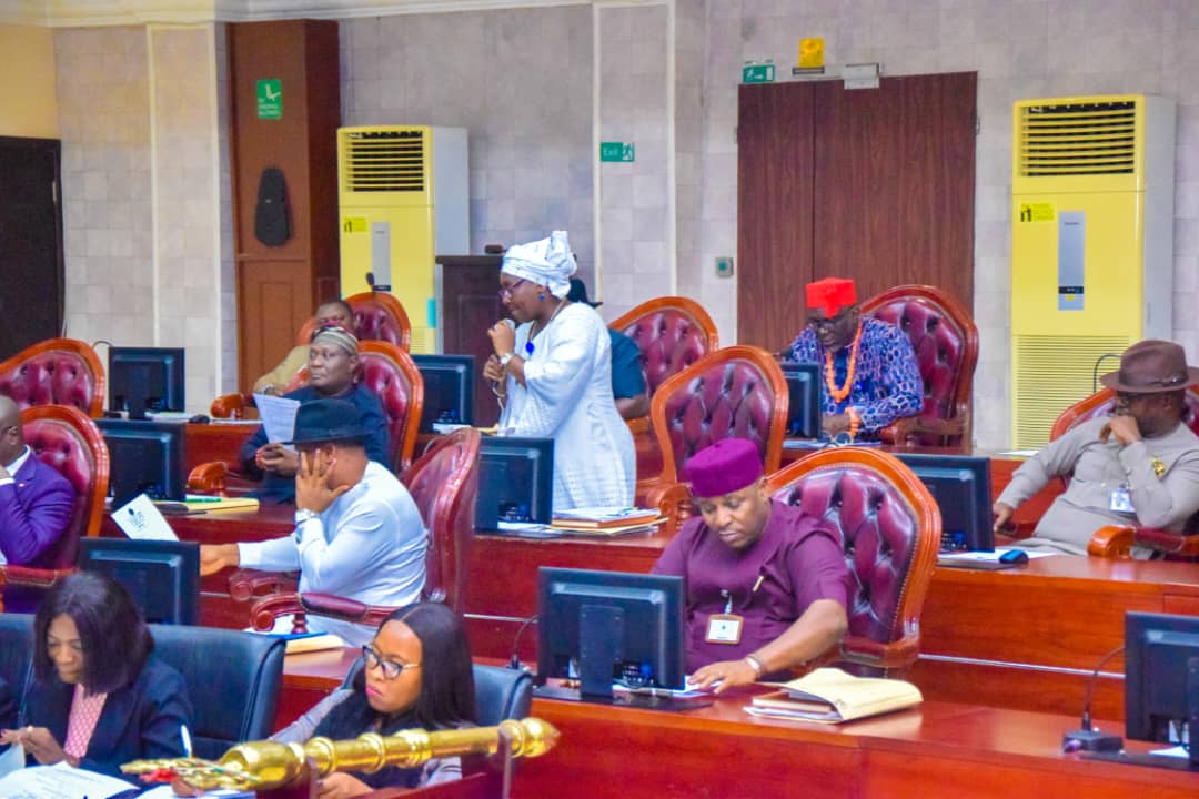 Hon. Bridget Anyafulu (in white) speaking on the floor of the Delta State House of Assembly