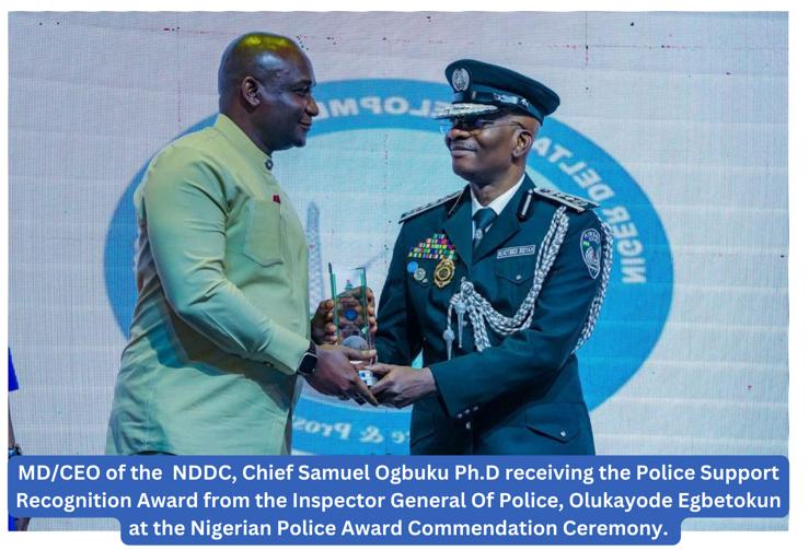 Nigeria Police Honours NDDC