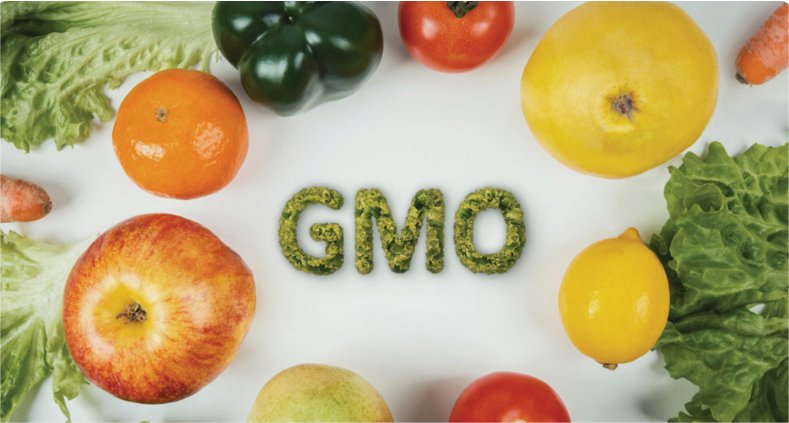 GMO
