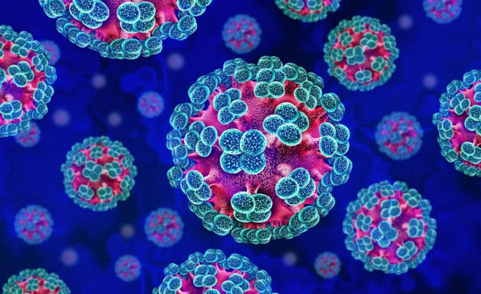 Hantavirus outbreak MV Hondius cruise ship 2026