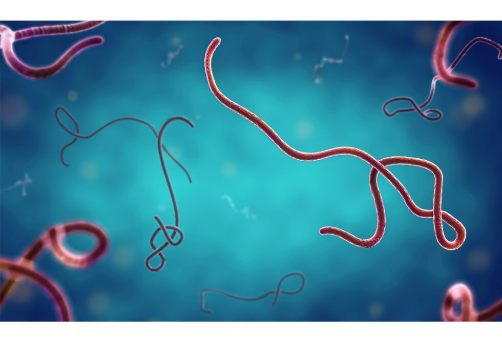 Ebola